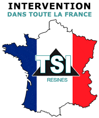 Logo TSI FRANCE